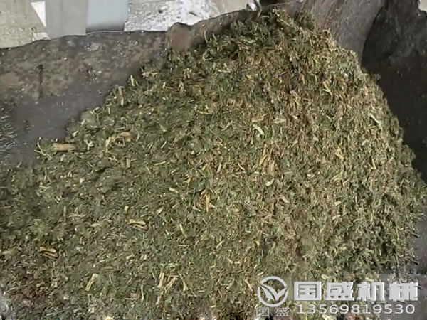 餐廚垃圾分揀脫水機(jī)