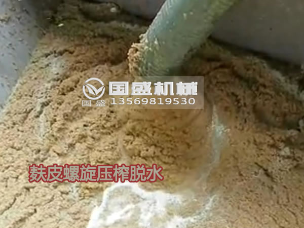 大型麩皮擠壓脫水機(jī)